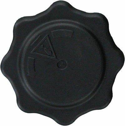 Tapon Deposito Anticongelante Motor Mini W11 2002 Al 2006