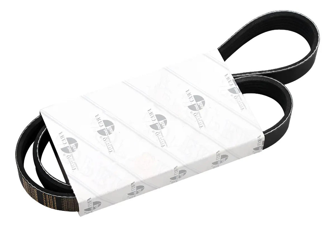 banda de distribucion / accesorios marca Original Frey