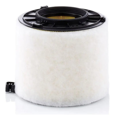 Filtro De Aire Audi A4 A5 2.0tfsi 35tfsi C17012/1 8w0133843e