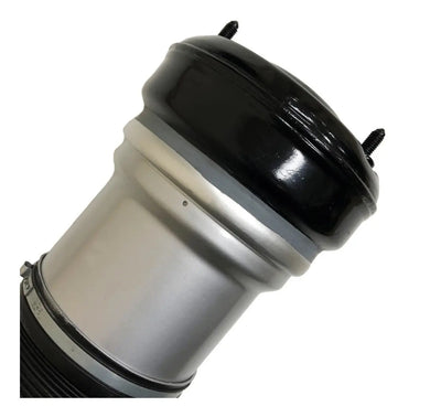 Bolsa Aire Delantera Mercedes Benz S430 S500 S600 S55