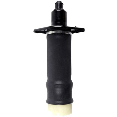 Bolsas Aire Suspension Trasera Audi A6 / C5 4b 1999-2006