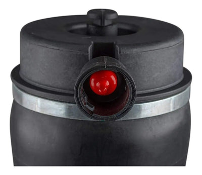 Bolsa Aire Suspensi Trasera Expedition Navigator 4x2 97-02