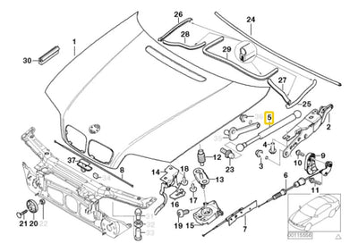 Amortiguador De Cofre Bmw 320i F1 2004 Al 2005
