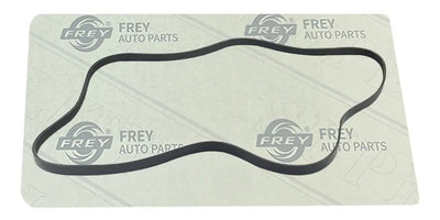 banda de distribucion / accesorios marca Original Frey