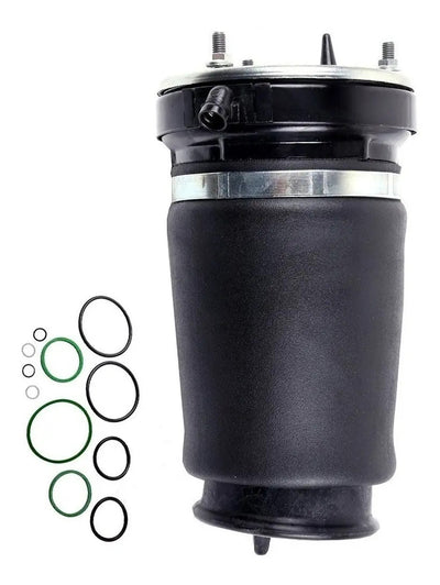 Bolsas Aire Suspension Delanteras Bmw X5 2001 Al 2006