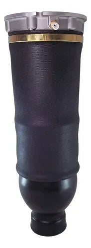 Bolsa Aire Delantera Audi Allroad Quattro A6 C5 1999-2006