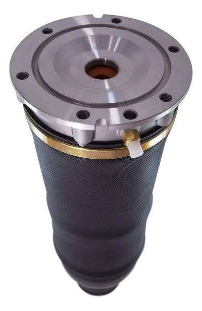 Bolsa Aire Delantera Audi Allroad Quattro A6 C5 1999-2006