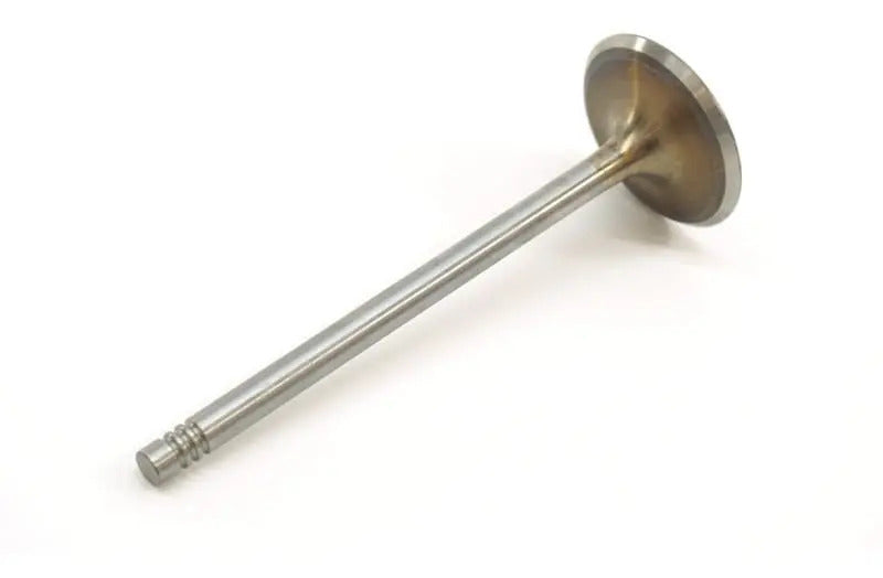 valvula del motor marca Osvat