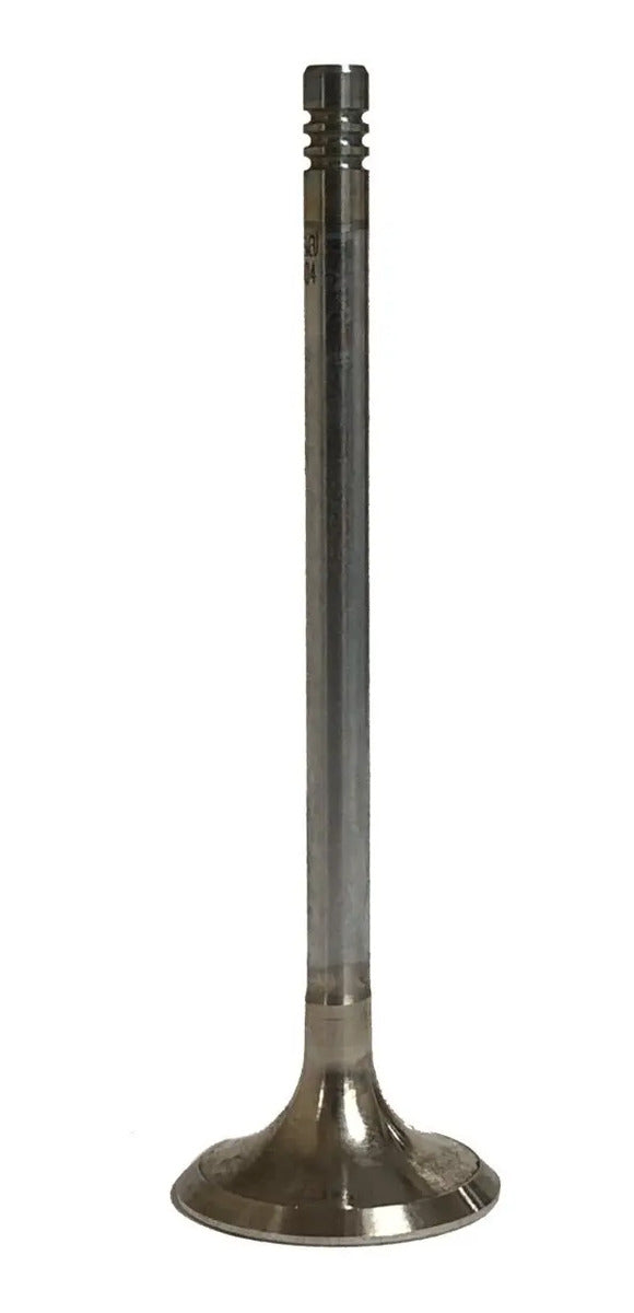 valvula del motor marca Osvat