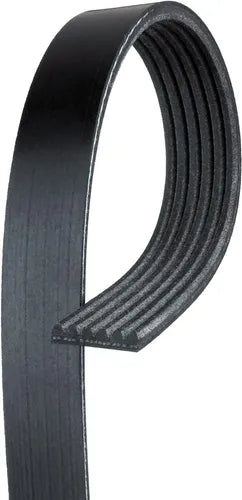 banda de distribucion / accesorios marca Continental